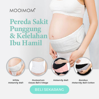 Mengenal Plasenta Bayi dan Fungsinya yang Perlu Ibu Hamil Ketahui | Mamapedia MOOIMOM