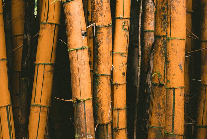 Bumil Wajib Tahu! Ini 5 Manfaat Serat Bambu Bagi Kesehatan