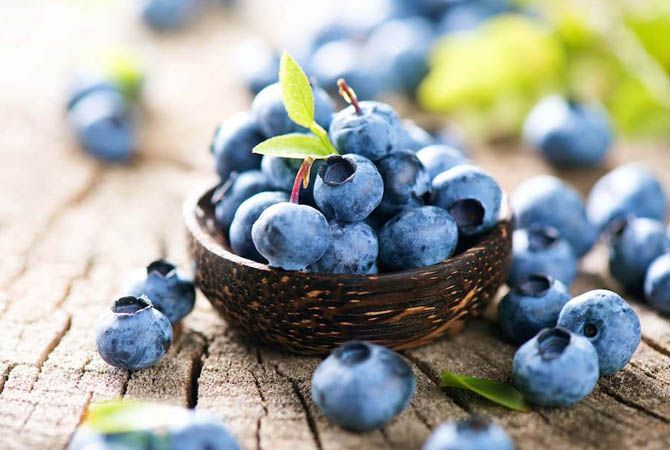 STUDI : Apakah Buah Blueberry Bisa Mengatasi Baby Blues?