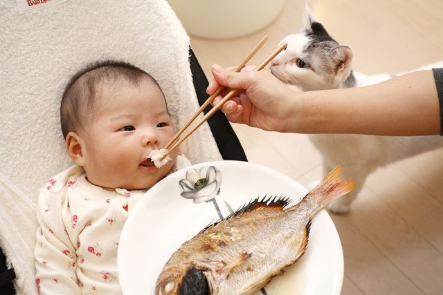 Tips Agar Anak Doyan Makan Ikan