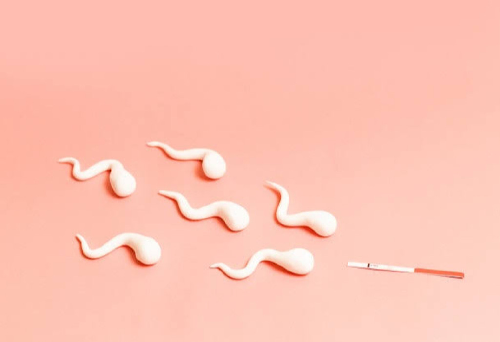 Jenis Kelainan Sperma dan Cara Mengobatinya