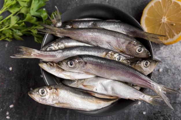 6 Manfaat Ikan Tongkol untuk Ibu Hamil, Apa Saja Ya?